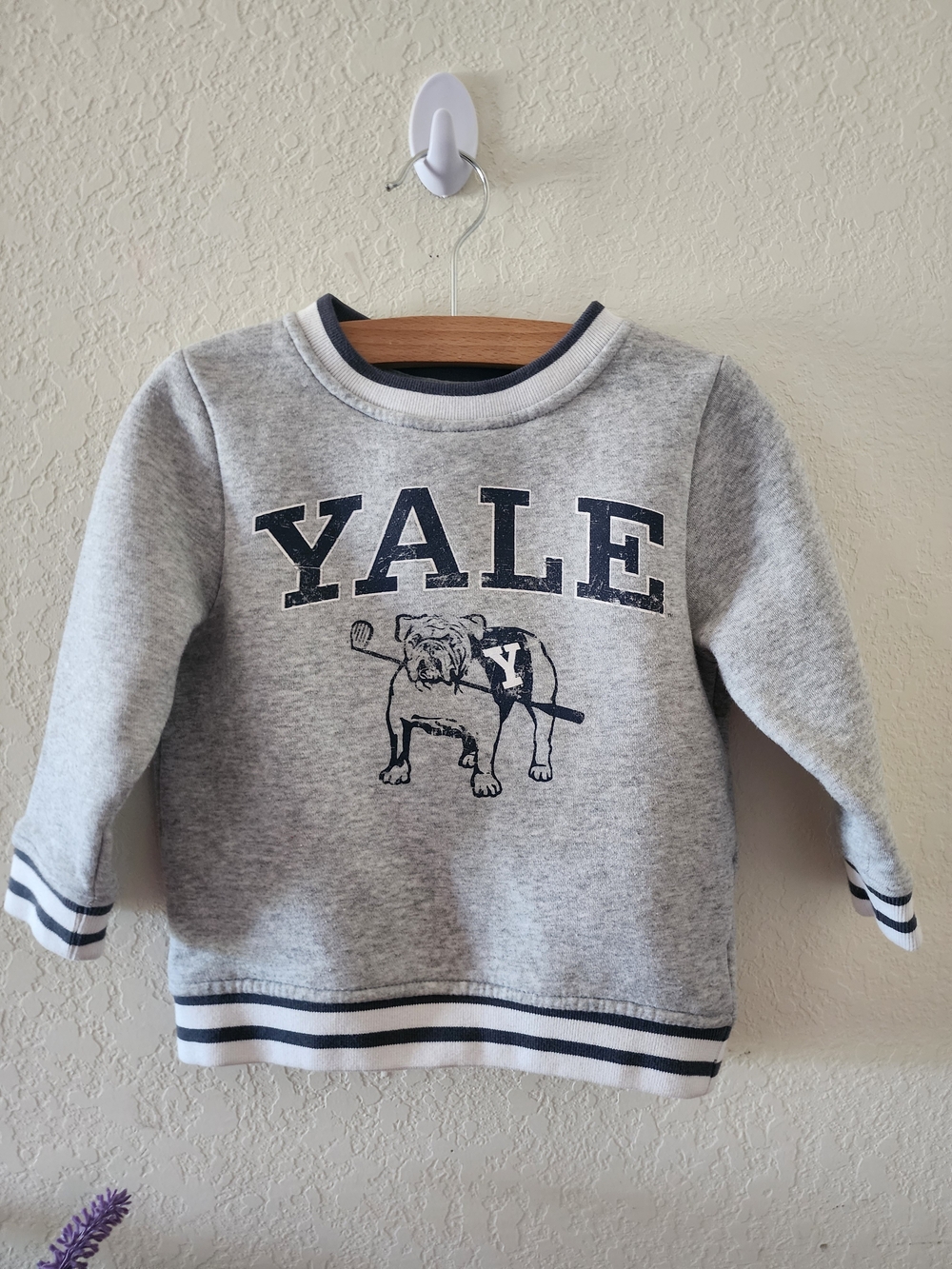 Cotton On Gray Sweatshirt with Navy Yale Bulldog